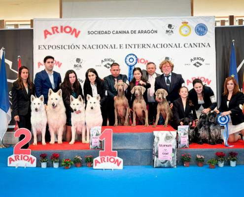 Mejor de grupo de cría Exposición Internacional de Calatayud 2026