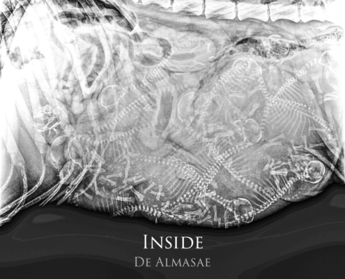 Weimaraner mamá de cachorros